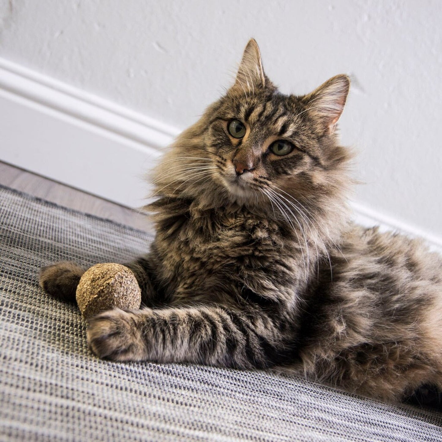 Smartykat Kiss Compressed Catnip Ball Cat Toy