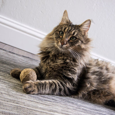 Smartykat Kiss Compressed Catnip Ball Cat Toy