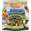 Tropical Carnival Natural Behaviors Guinea Pig