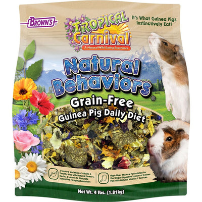 Tropical Carnival Natural Behaviors Guinea Pig