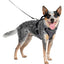 Petsafe Easysport Dog Harness