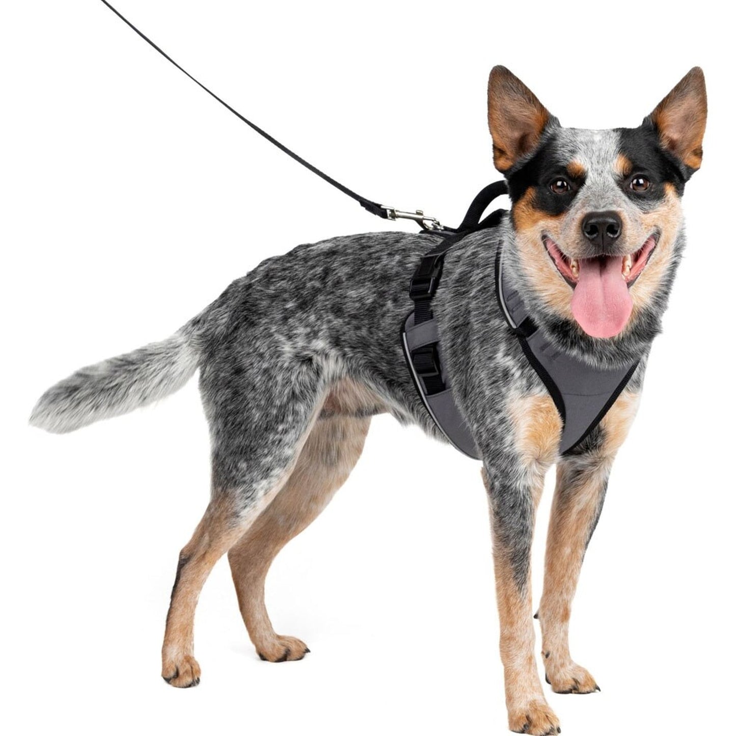 Petsafe Easysport Dog Harness