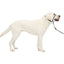 Petsafe Gentle Leader Headcollar Quick Release