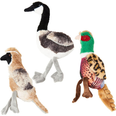Spot Bird Calls