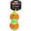 Spunkypup Squeaky Tennis Balls