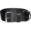 Bravo 2 Ply Nylon Dog Collar