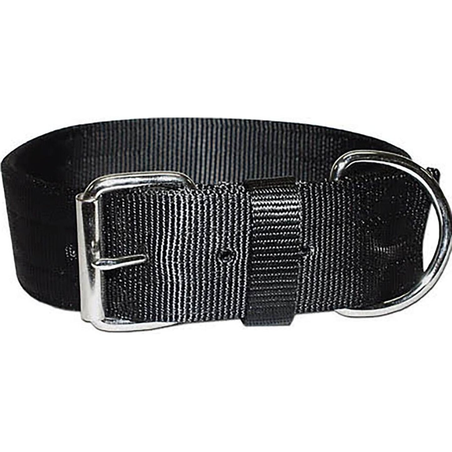 Bravo 2 Ply Nylon Dog Collar