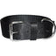Bravo 2 Ply Nylon Dog Collar