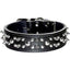 Latigo Leather Spike/Stud Dog Collar