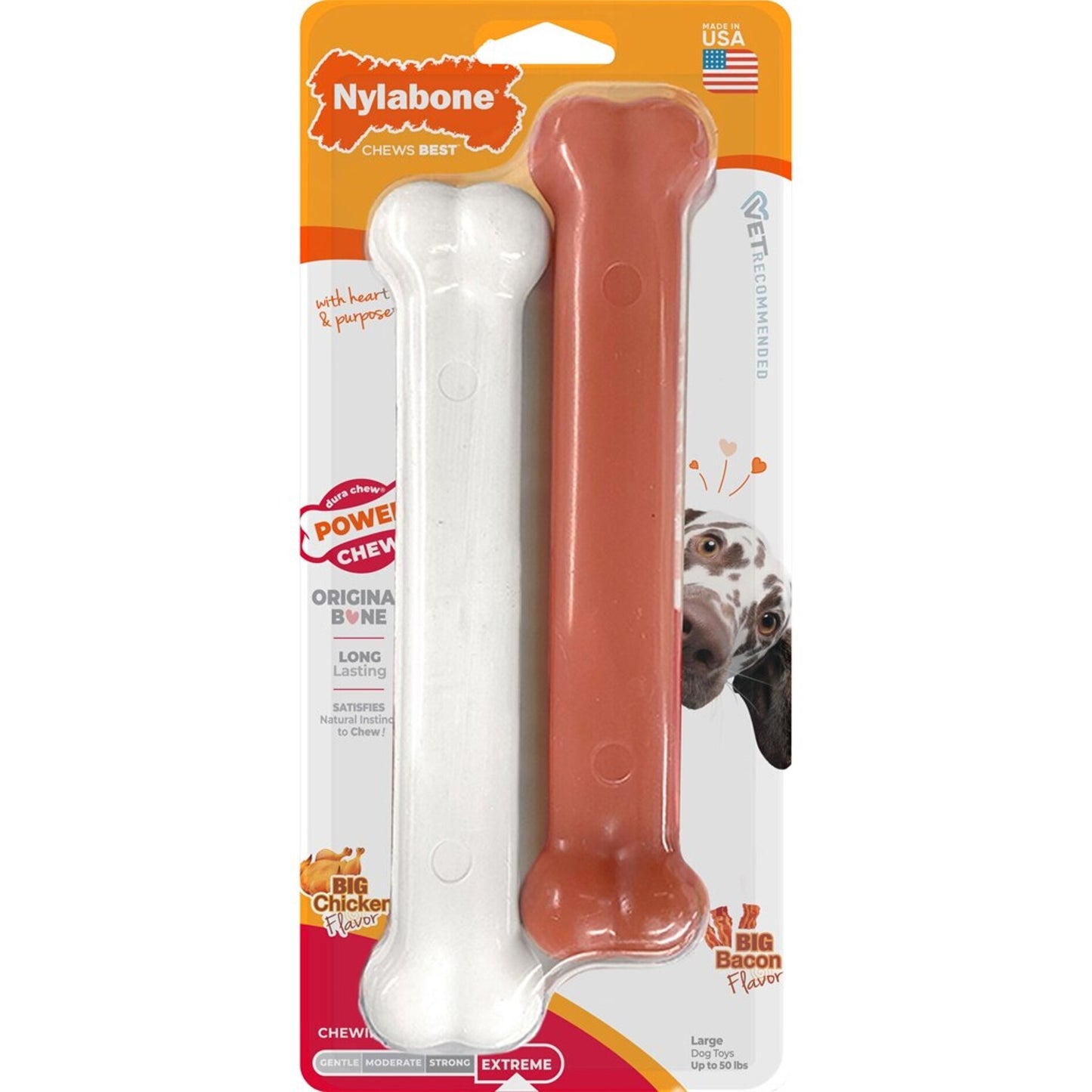 Nylabone Power Chew Bone