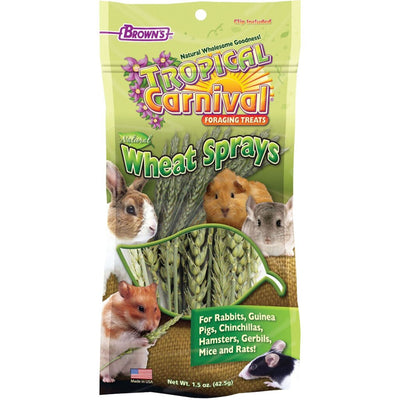 Tropical Carnival Sprays Foraging S.A. Treats