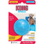 Kong Puppy Ball