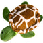 Snugarooz Shelldon The Turtle