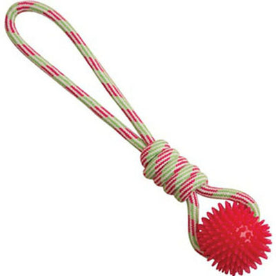 Snugarooz Spike-O-Mite Rope Tug
