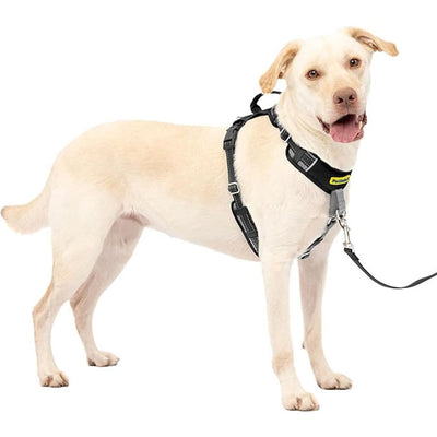 Petsafe Easy Walk Comfort Harness