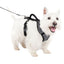 Petsafe Easysport Dog Harness