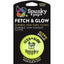 Spunkypup Fetch & Glow Glowing Fetch Ball Toy
