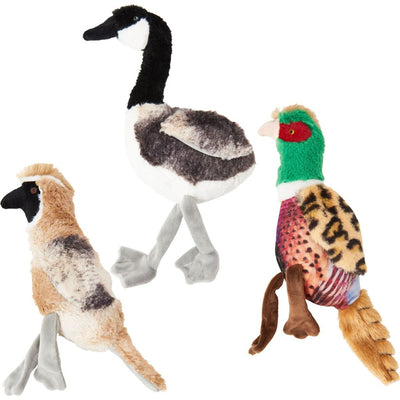 Spot Bird Calls