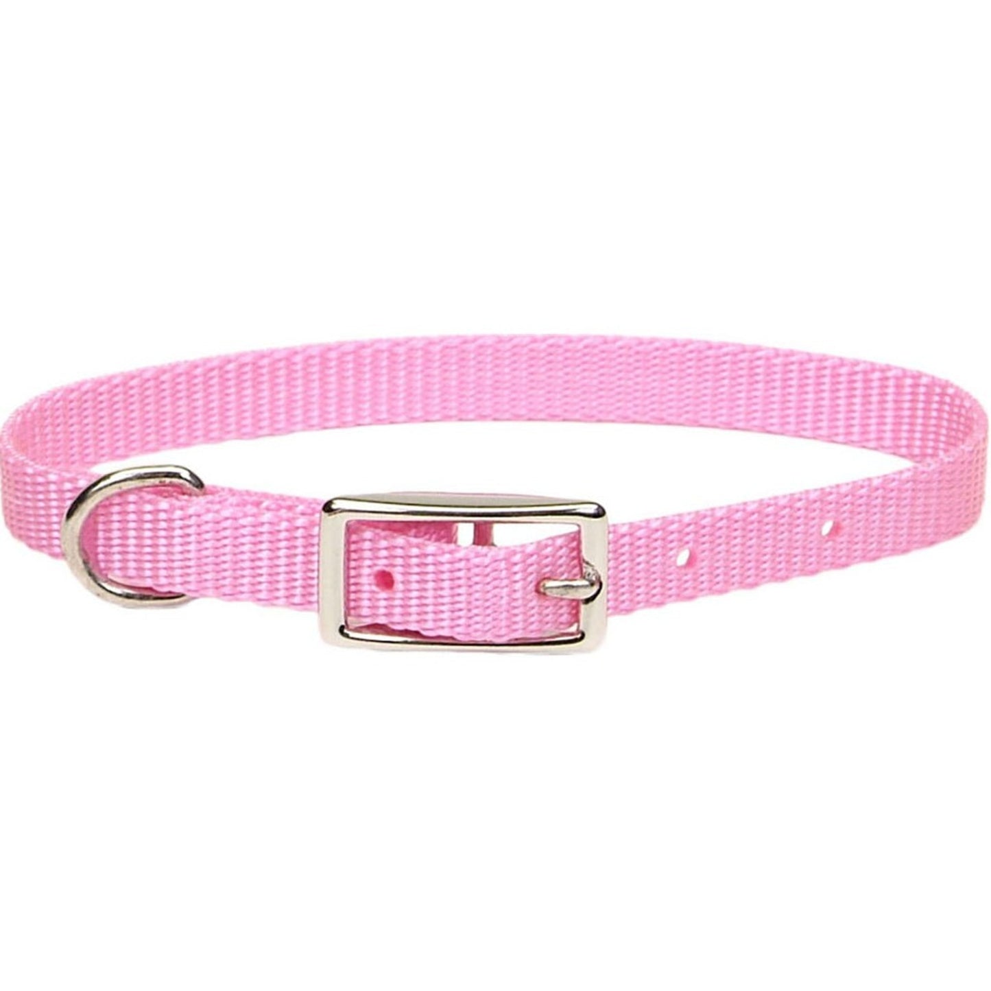 Single Ply Dog Collar