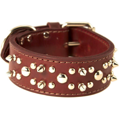 Latigo Leather Spike/Stud Dog Collar