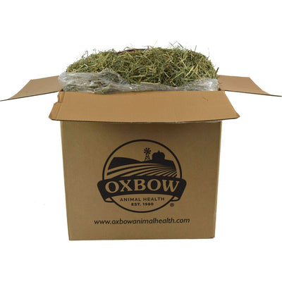 Oxbow Orchard Grass
