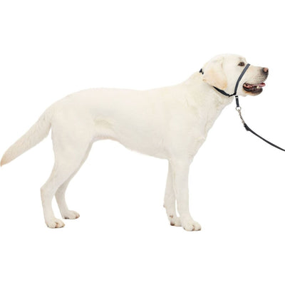 Petsafe Gentle Leader Headcollar Quick Release