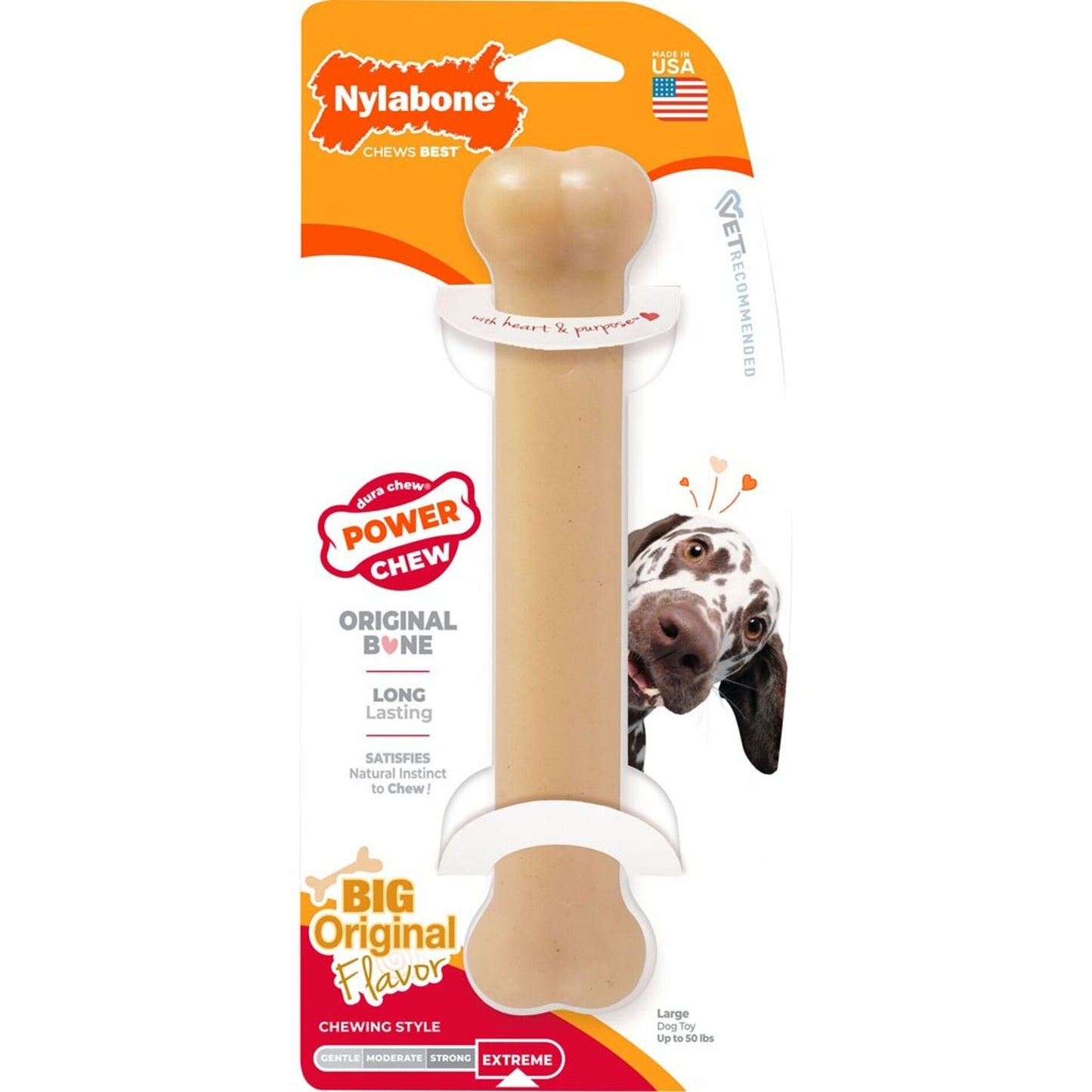 Nylabone Power Chew Bone