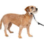 Petsafe Gentle Leader Headcollar Quick Release