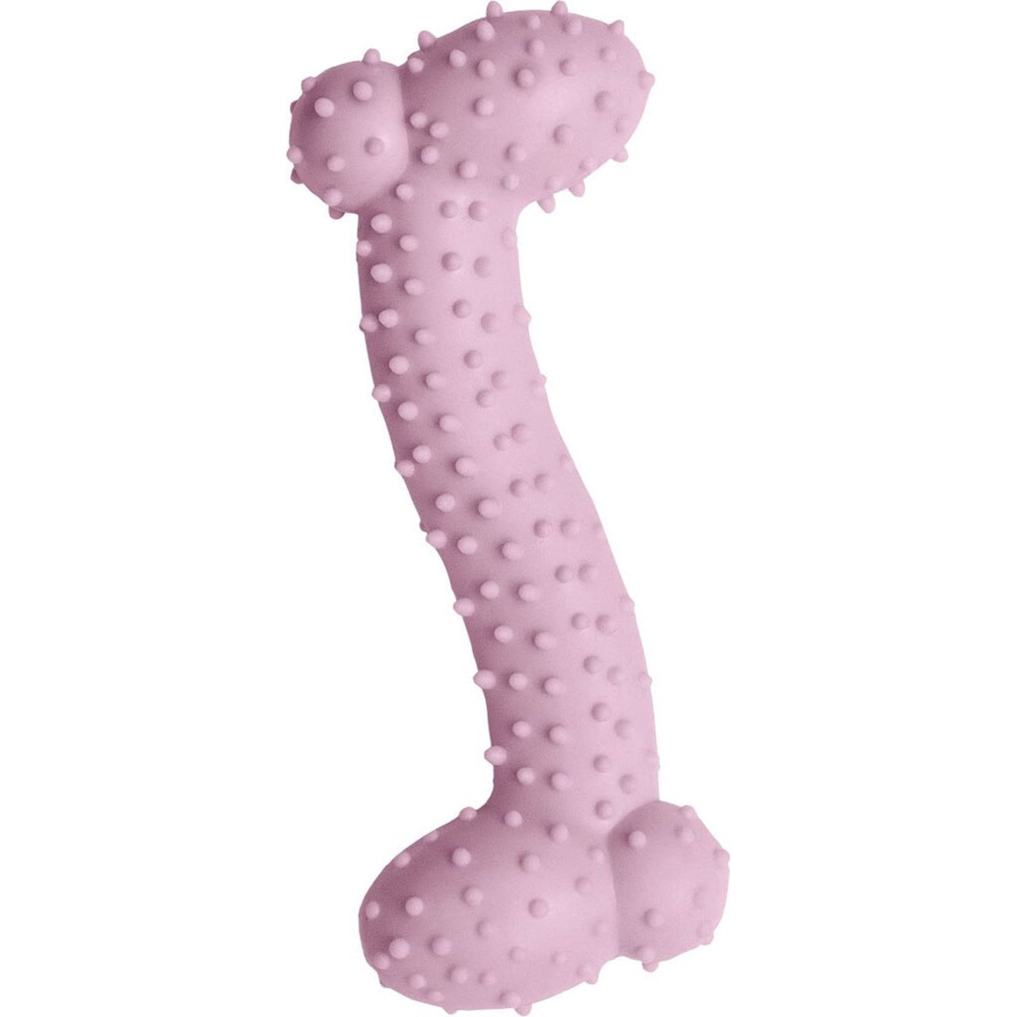 Snugarooz Lil Baby Bone Eco Tpr Dog Toy