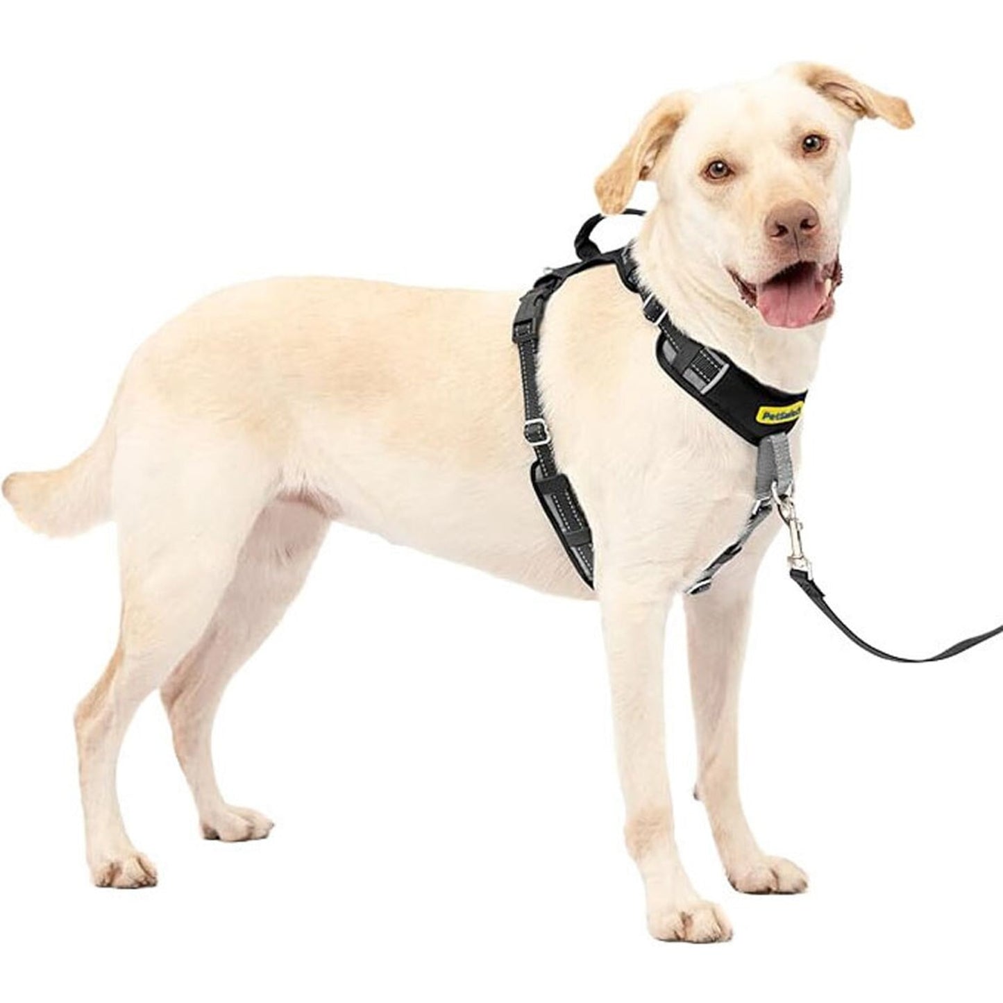Petsafe Easy Walk Comfort Harness
