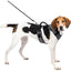 Petsafe Easysport Dog Harness