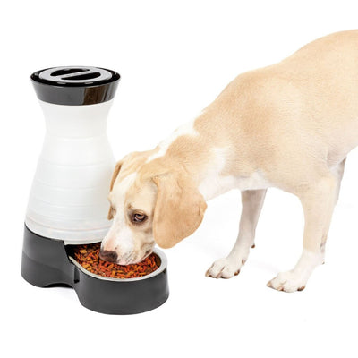 Petsafe Healthy Pet Food Station