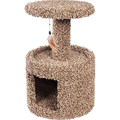 Kitty Condo W/ Perch