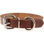 Omnipet Regular Bully Leather Collar