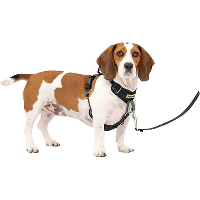 Petsafe Easy Walk Comfort Harness