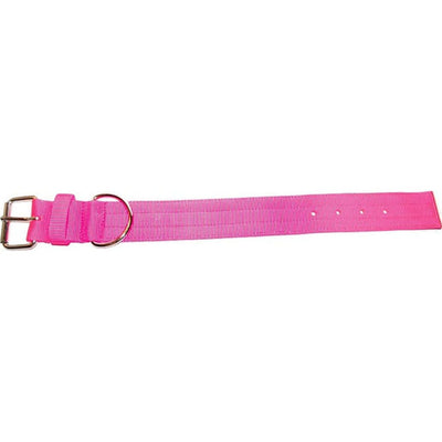 Bravo 2 Ply Nylon Dog Collar