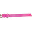 Bravo 2 Ply Nylon Dog Collar