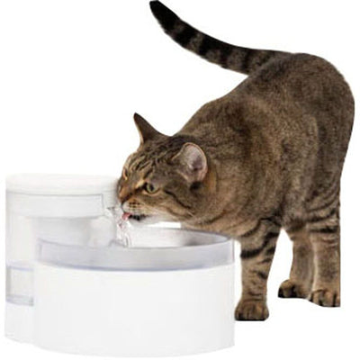 Petsafe Outlast Pumpless Pet Fountain