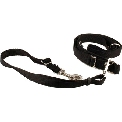 Petsafe Hands Free Leash