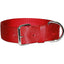 Bravo 2 Ply Nylon Dog Collar