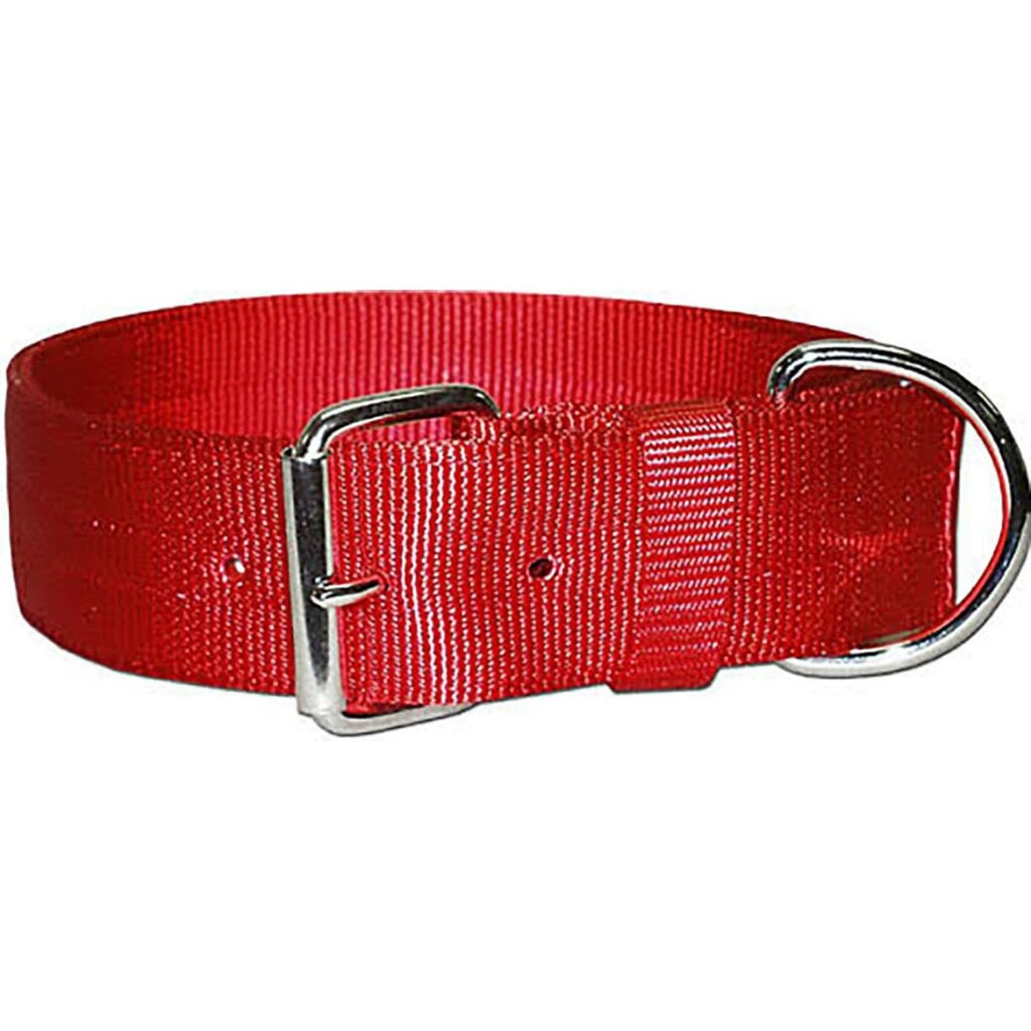 Bravo 2 Ply Nylon Dog Collar