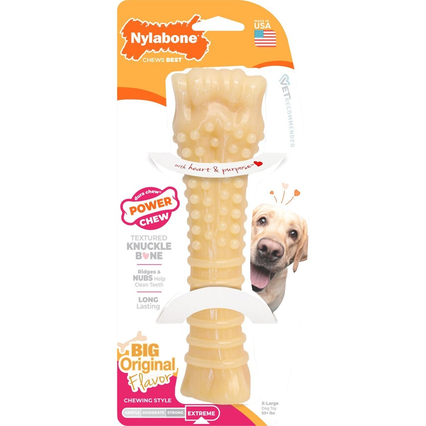 Nylabone Power Chew Bone