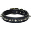 Latigo Leather 1 Ply Spiked Dog Collar