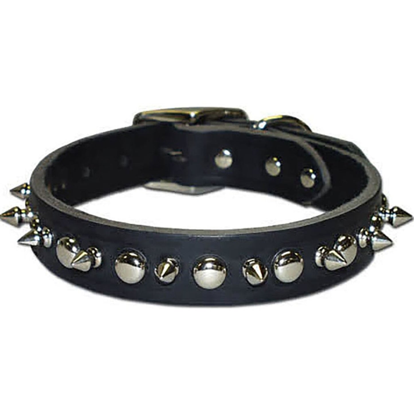 Latigo Leather 1 Ply Spiked Dog Collar
