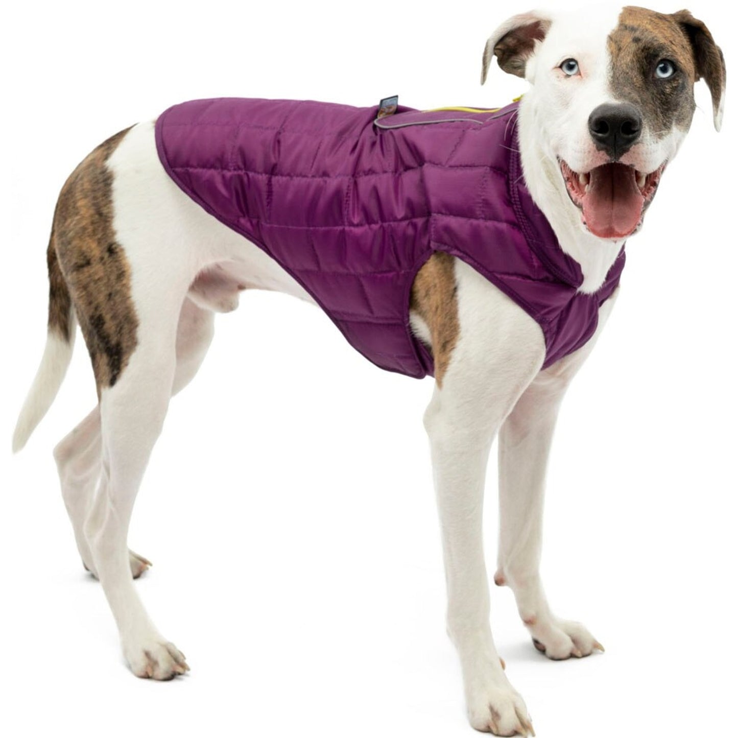 Kurgo Loft Jacket