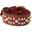 Latigo Leather Spike/Stud Dog Collar