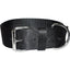 Bravo 2 Ply Nylon Dog Collar