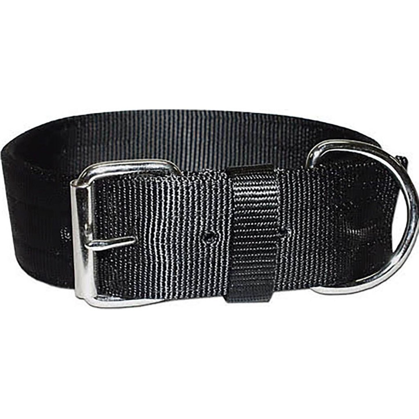 Bravo 2 Ply Nylon Dog Collar