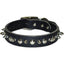 Latigo Leather 1 Ply Spiked Dog Collar