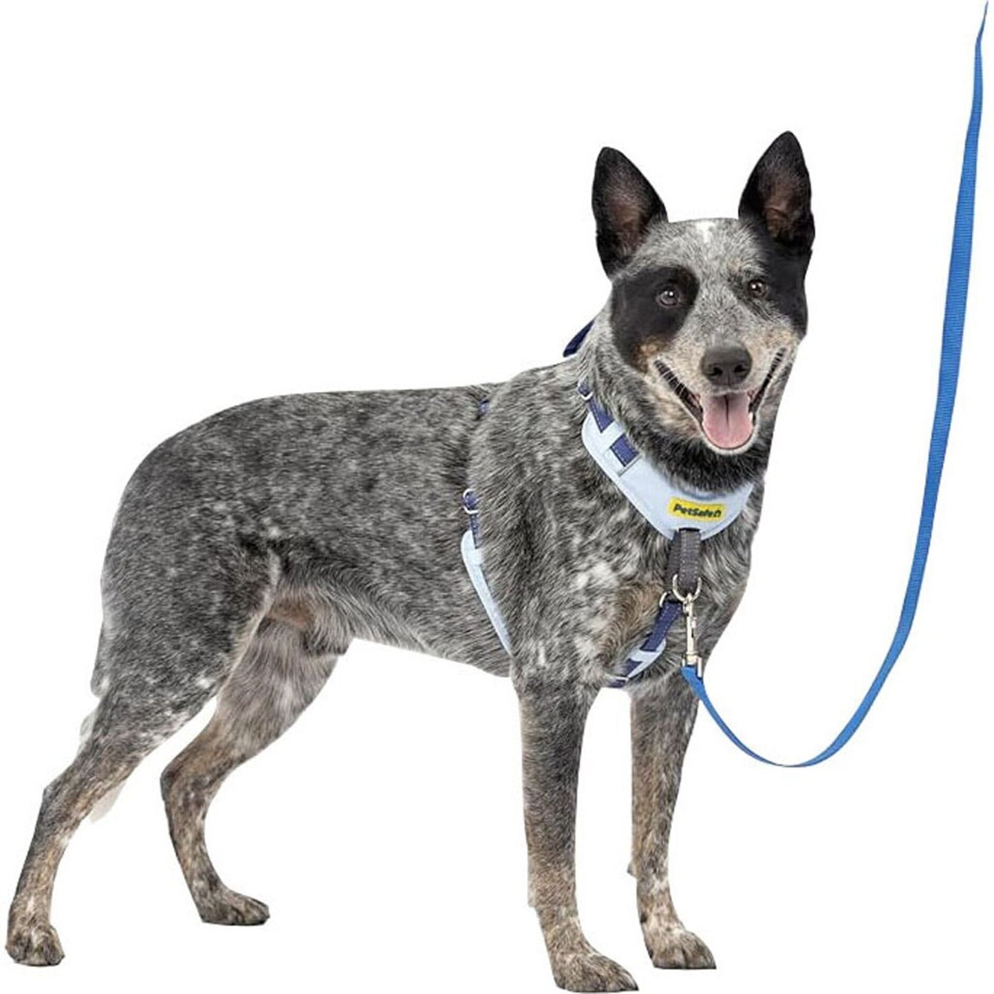 Petsafe Easy Walk Comfort Harness